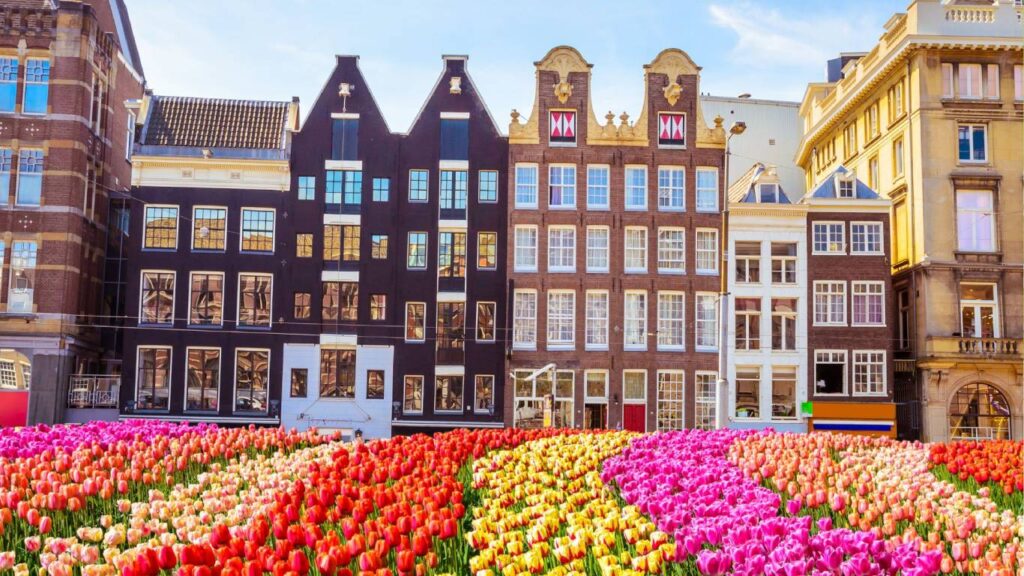 viajar para a Holanda