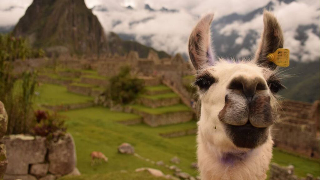 viajar para o Peru