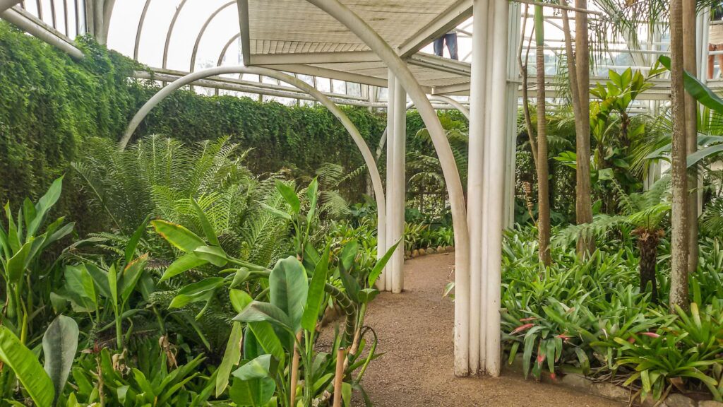 jardim botânico de curitiba